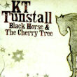 KT Tunstall